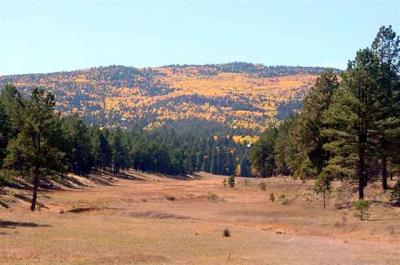Taos real estate