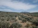 West-Gorge-Brdg, Cerro-Montoso