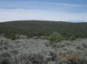 West-Gorge-Brdg, Cerro-Montoso