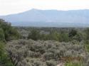West-Gorge-Brdg, Cerro-Montoso